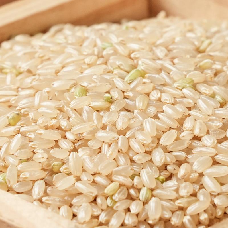 (달보는농산물) 간척지에서 청년농부가 생산한 찰진 쌀/현미