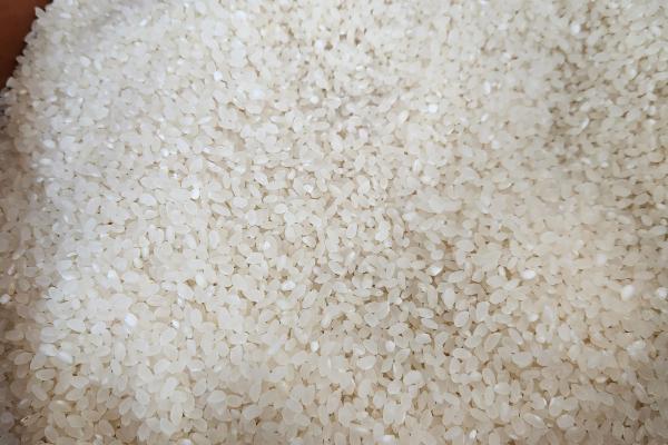 ★추가6%할인★(대우미곡) 2023년 햅쌀 삼대쌀 새청무쌀 10kg 단일품종 상등급