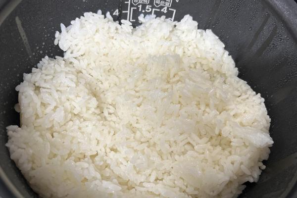 (영암군농협쌀조합) 2023년 햅쌀 기운찬 신동진쌀 10kg 수량한정